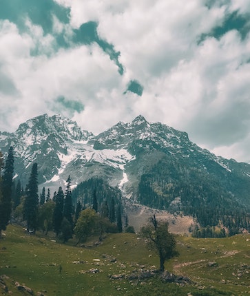 Kashmir tour packages